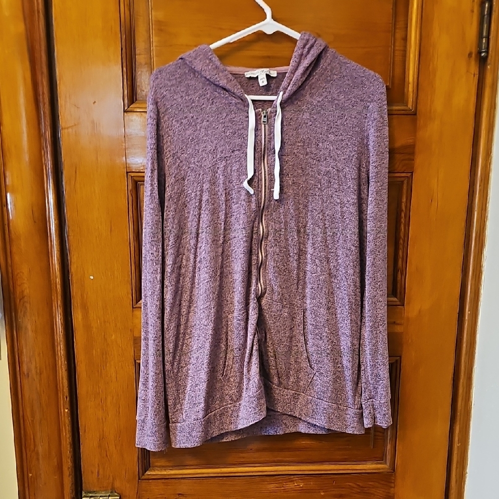 Express Mauve Knit Sweater